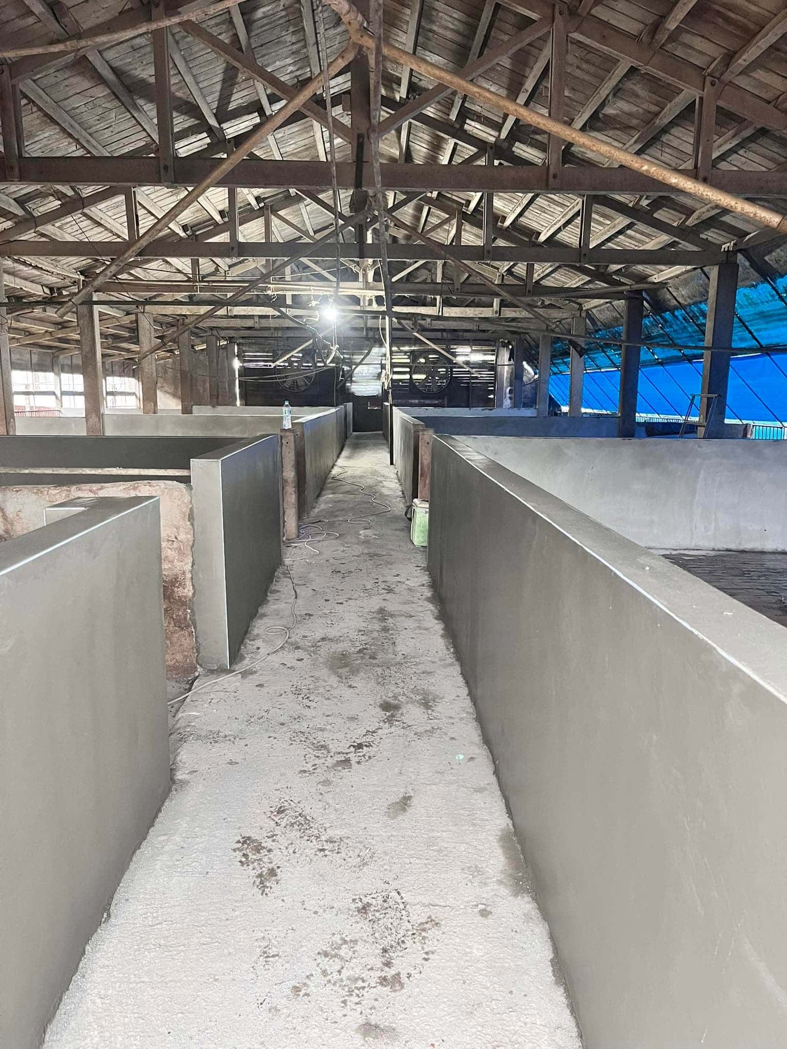 豬舍改造工序四：水泥打底粉光完成